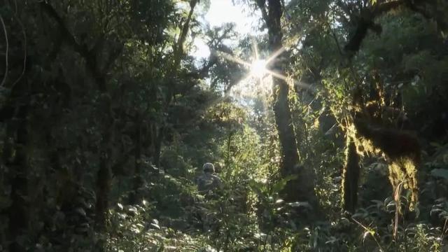 部隊穿越哀牢山現(xiàn)場實拍，一線部隊行進畫面曝光