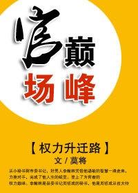 躍升巔峰之路，權(quán)謀升遷有道啟示錄與全文目錄解析