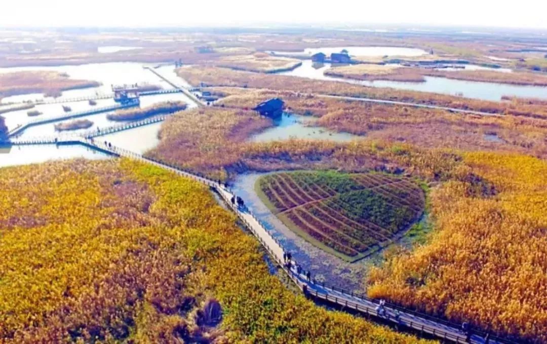 揭秘管灣濕地公園十一月新動態(tài)，生態(tài)進展、休閑體驗與科普新知最新情況解析