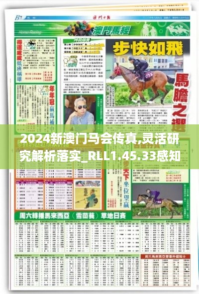 2024新澳門馬會傳真,靈活研究解析落實_RLL1.45.33感知版