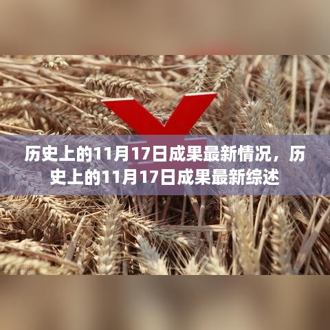 歷史上的11月17日成果最新綜述與進展報告