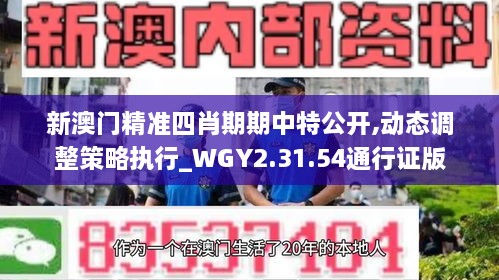 新澳門精準四肖期期中特公開,動態(tài)調整策略執(zhí)行_WGY2.31.54通行證版