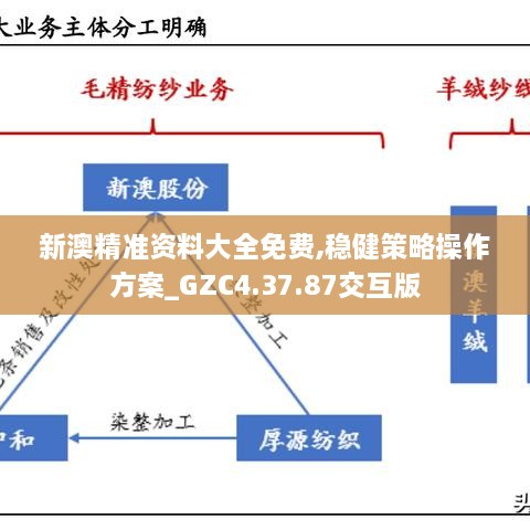 新澳精準(zhǔn)資料大全免費(fèi),穩(wěn)健策略操作方案_GZC4.37.87交互版