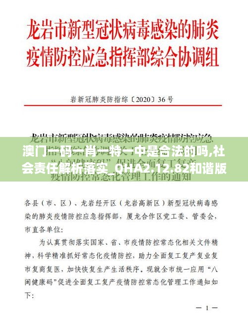 澳門(mén)一碼一肖一特一中是合法的嗎,社會(huì)責(zé)任解析落實(shí)_QHA2.12.82和諧版