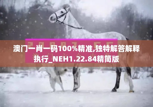 澳門一肖一碼100%精準(zhǔn),獨特解答解釋執(zhí)行_NEH1.22.84精簡版