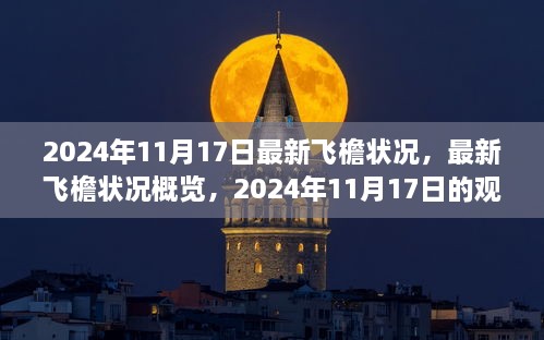 2024年11月17日飛檐狀況最新觀察與探討