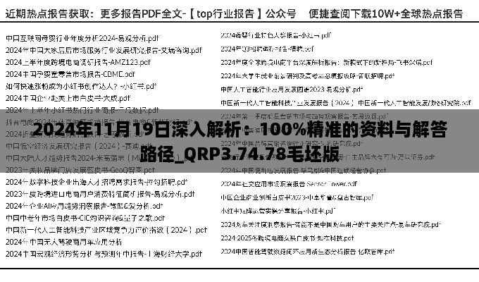 2024年11月19日深入解析：100%精準(zhǔn)的資料與解答路徑_QRP3.74.78毛坯版