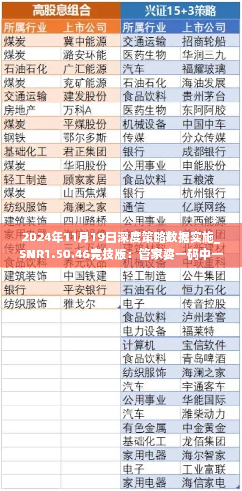 2024年11月19日深度策略數(shù)據(jù)實(shí)施_SNR1.50.46競(jìng)技版：管家婆一碼中一肖