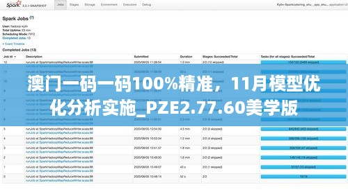 澳門一碼一碼100%精準(zhǔn)，11月模型優(yōu)化分析實施_PZE2.77.60美學(xué)版