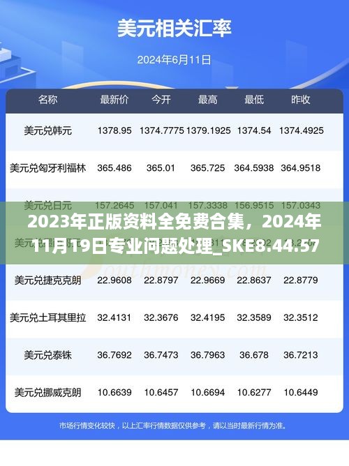 2023年正版資料全免費合集，2024年11月19日專業(yè)問題處理_SKE8.44.57定制版