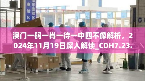 澳門一碼一肖一待一中四不像解析，2024年11月19日深入解讀_CDH7.23.95連續(xù)版