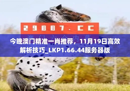 今晚澳門精準(zhǔn)一肖推薦，11月19日高效解析技巧_LKP1.66.44服務(wù)器版