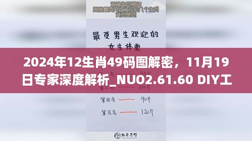 2024年12生肖49碼圖解密，11月19日專家深度解析_NUO2.61.60 DIY工具版