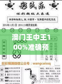 澳門王中王100%準(zhǔn)確預(yù)測(cè)，詳盡解讀與答疑_IGK8.57.23網(wǎng)紅版