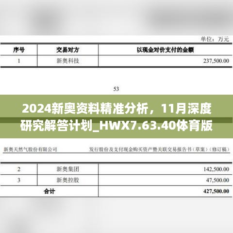 2024新奧資料精準(zhǔn)分析，11月深度研究解答計(jì)劃_HWX7.63.40體育版