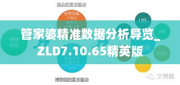 管家婆精準數據分析導覽_ZLD7.10.65精英版