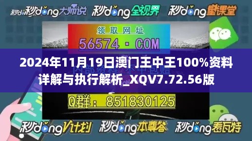 2024年11月19日澳門(mén)王中王100%資料詳解與執(zhí)行解析_XQV7.72.56版