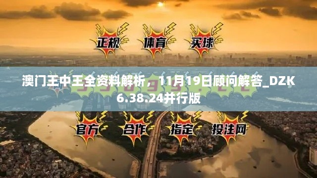 澳門王中王全資料解析，11月19日顧問解答_DZK6.38.24并行版