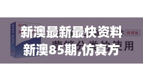 新澳最新最快資料新澳85期,仿真方案實(shí)施_KED43.732便攜版