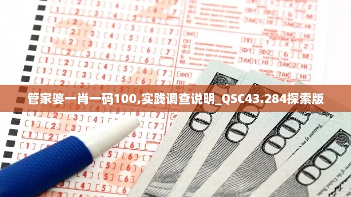 管家婆一肖一碼100,實踐調查說明_QSC43.284探索版