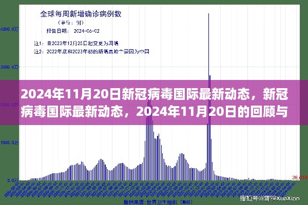 新冠病毒國際最新動態(tài)，2024年11月20日的回顧與影響分析