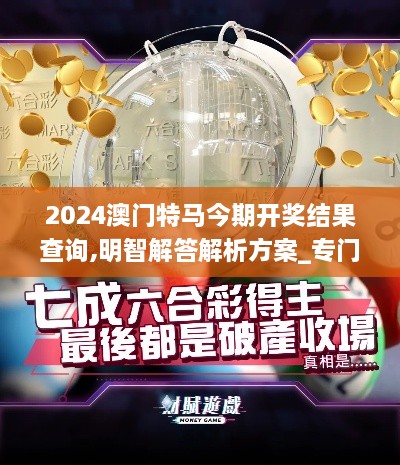 2024澳門特馬今期開獎(jiǎng)結(jié)果查詢,明智解答解析方案_專門版VSM5.17