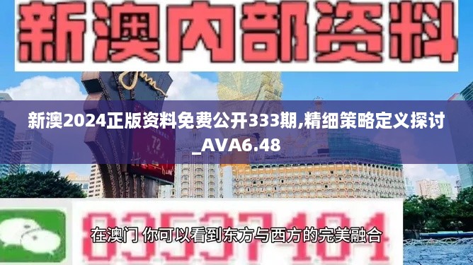 新澳2024正版資料免費(fèi)公開(kāi)333期,精細(xì)策略定義探討_AVA6.48