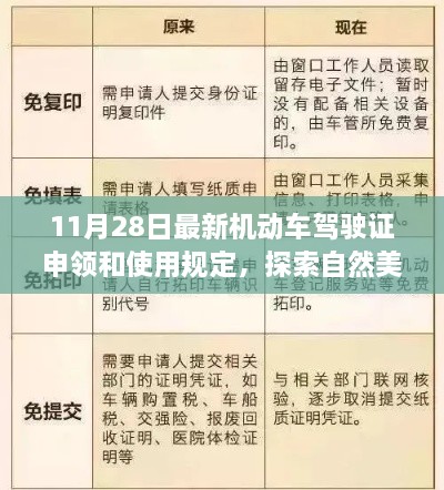 探索自然美景的心靈之旅，最新機動車駕駛證申領和使用規(guī)定解讀