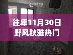 往年11月30日野風(fēng)秋雅熱門房價，野風(fēng)秋雅深處的寶藏，揭秘隱藏在小巷中的特色小店與往年熱門房價盛景