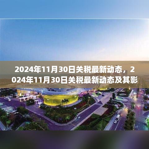 深度解析，2024年11月30日關(guān)稅最新動(dòng)態(tài)及其全球影響