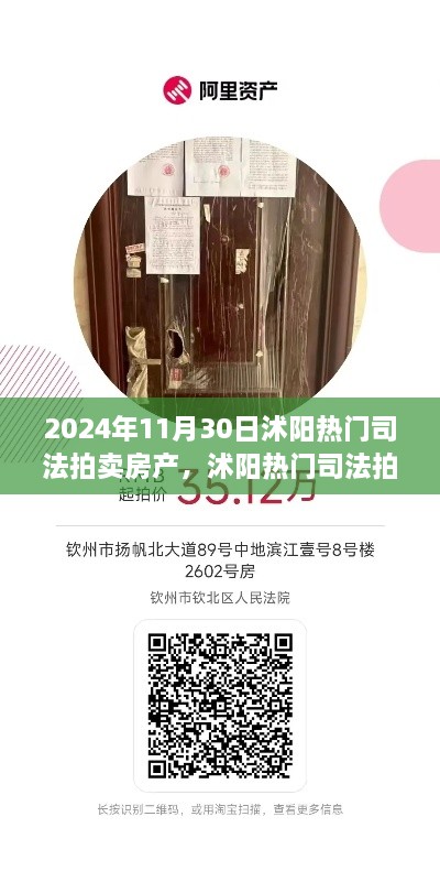 2024年11月30日沭陽(yáng)熱門司法拍賣房產(chǎn)搶拍指南，最新房源大揭秘