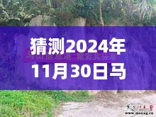 揭秘未來，馬山縣石豐村2024年11月30日最新動(dòng)態(tài)展望指南