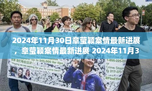 章瑩穎案最新進展報告，2024年11月30日案情更新與參與步驟指南