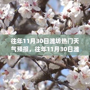 濰坊往年11月30日天氣預(yù)報(bào)回顧與旅行建議，氣象分析與建議