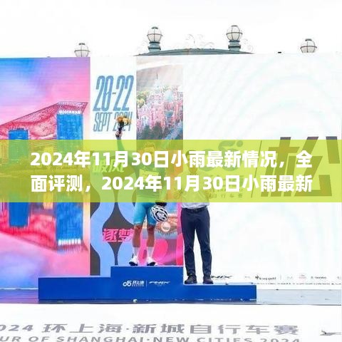 2024年11月30日小雨最新情況深度解析與全面評(píng)測