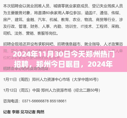 鄭州今日矚目，回顧2024年11月30日熱門招聘盛況