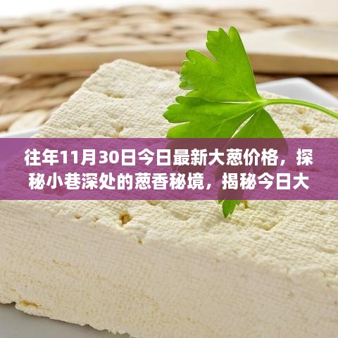 探秘小巷深處的蔥香秘境，揭秘往年今日最新大蔥價(jià)格背后的故事