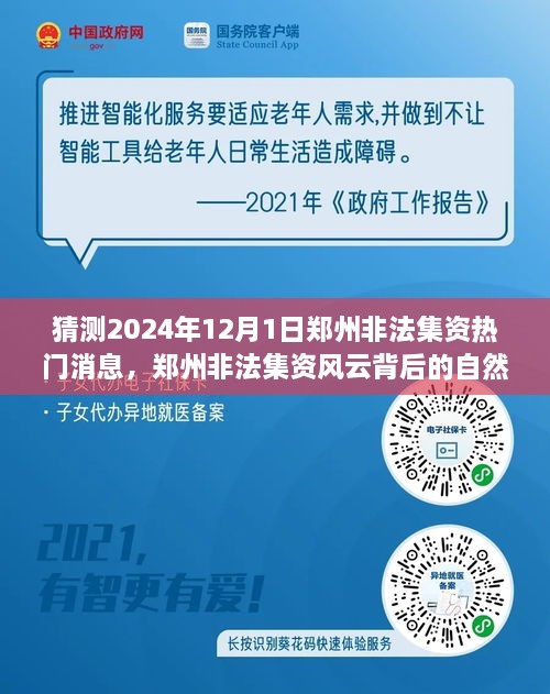 鄭州非法集資風(fēng)云背后的自然之旅，探尋心靈寧靜秘境的秘境與熱門消息猜測 2024年12月1日最新動態(tài)