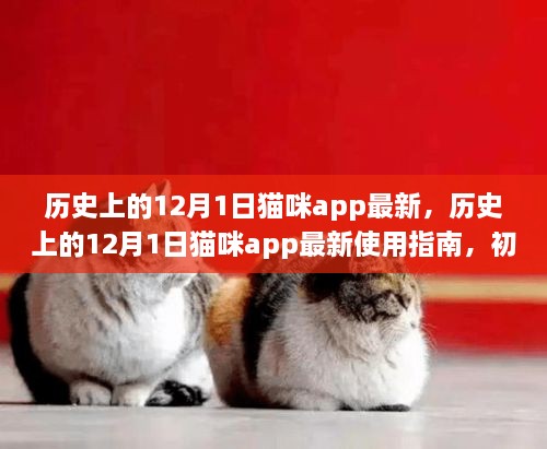 歷史上的12月1日貓咪app最新，歷史上的12月1日貓咪app最新使用指南，初學者與進階用戶的全面教程