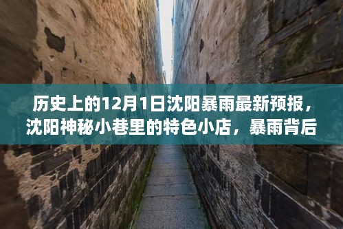 沈陽暴雨背后的神秘小巷寶藏，歷史、最新預(yù)報(bào)與特色小店探索