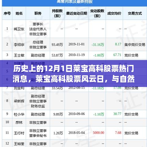 歷史上的12月1日萊寶高科股票熱門消息，萊寶高科股票風云日，與自然美景的奇妙邂逅，心靈旅行的啟程時刻