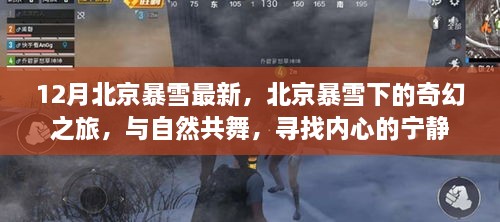 北京暴雪下的奇幻之旅，與自然共舞，探尋內心寧靜的旅程