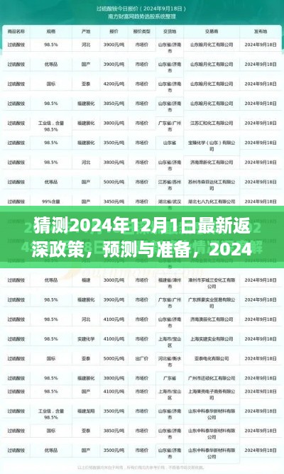 2024年返深政策最新預(yù)測(cè)與準(zhǔn)備指南，步驟詳解及猜測(cè)