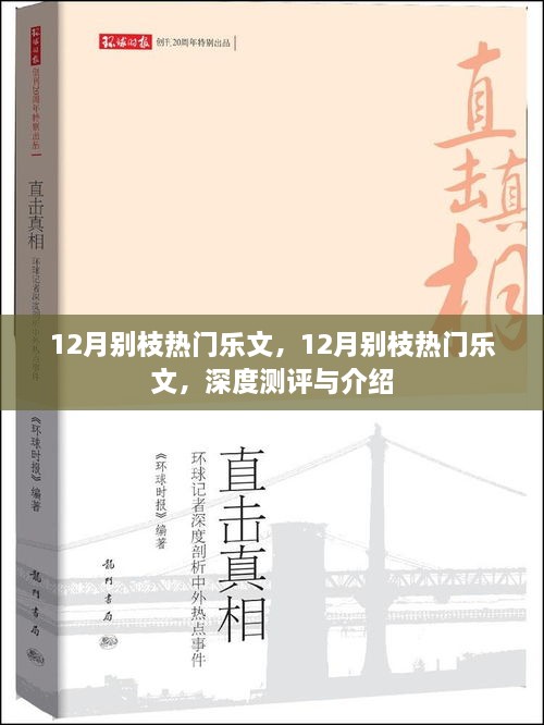 深度測(cè)評(píng)與介紹，12月別枝熱門(mén)樂(lè)文