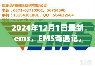 EMS奇遇記，快遞背后的溫暖故事揭秘，2024年12月最新篇章