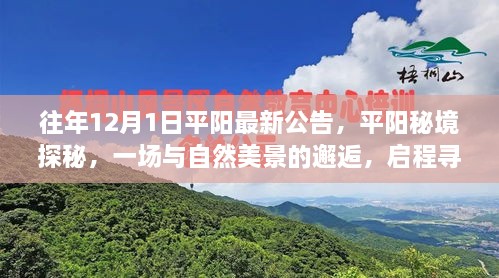 平陽秘境探秘之旅，與自然美景的邂逅，尋找寧靜之地啟程