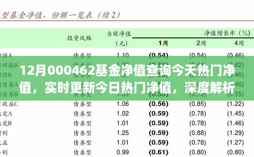 12月000462基金凈值查詢今天熱門凈值，實(shí)時(shí)更新今日熱門凈值，深度解析12月000462基金凈值查詢