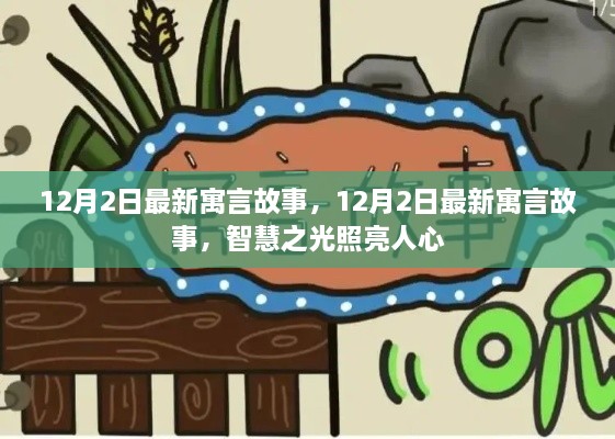 12月2日最新寓言故事，智慧之光照耀人心