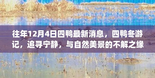 往年12月4日四鴨冬游記，追尋寧?kù)o與美景的不解之緣