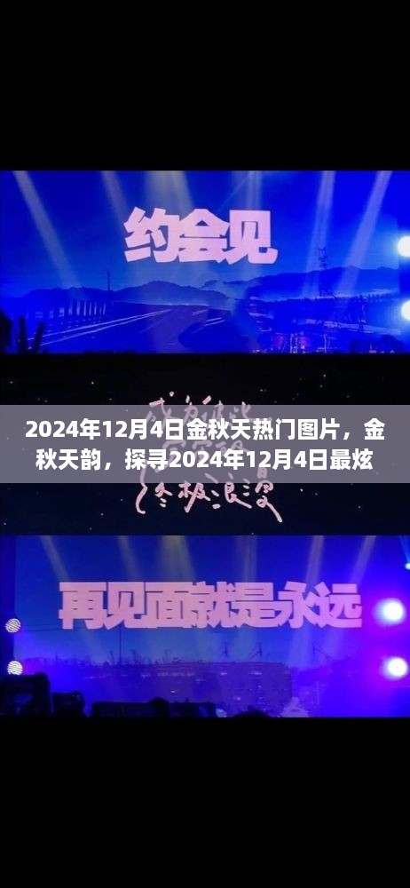 探尋金秋韻味，2024年12月4日熱門(mén)圖片精選